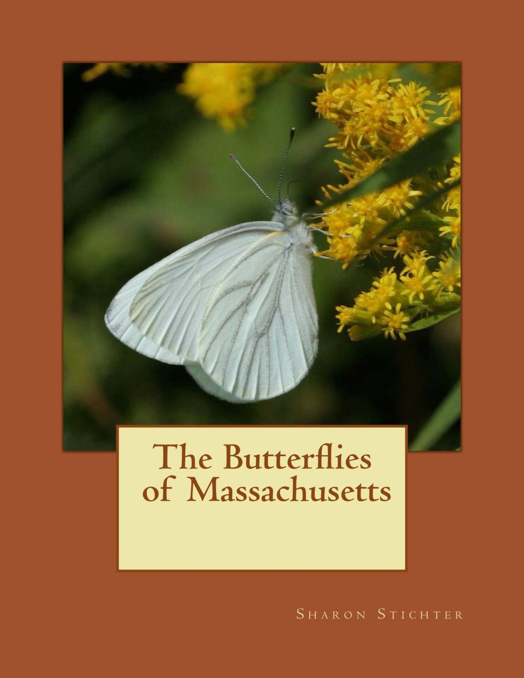 BOOK REVIEW: The Butterflies of Massachusetts by Sharon Stichter