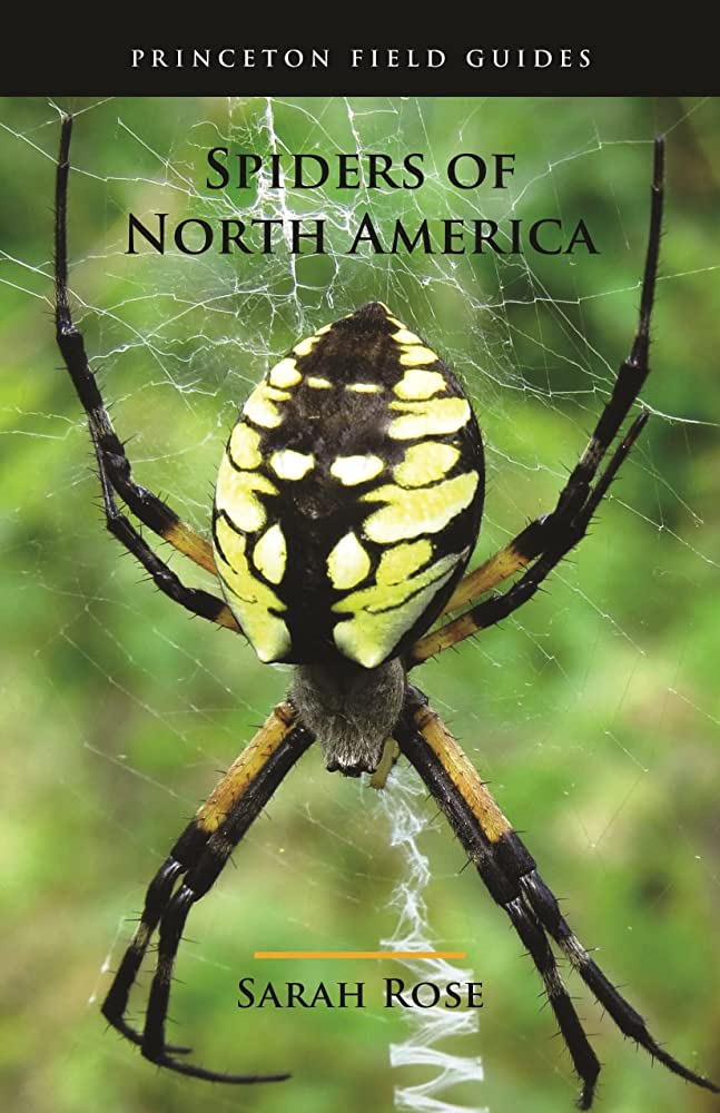 BUGGY BOOK REVIEW: “Spiders of North America” by Sarah Rose