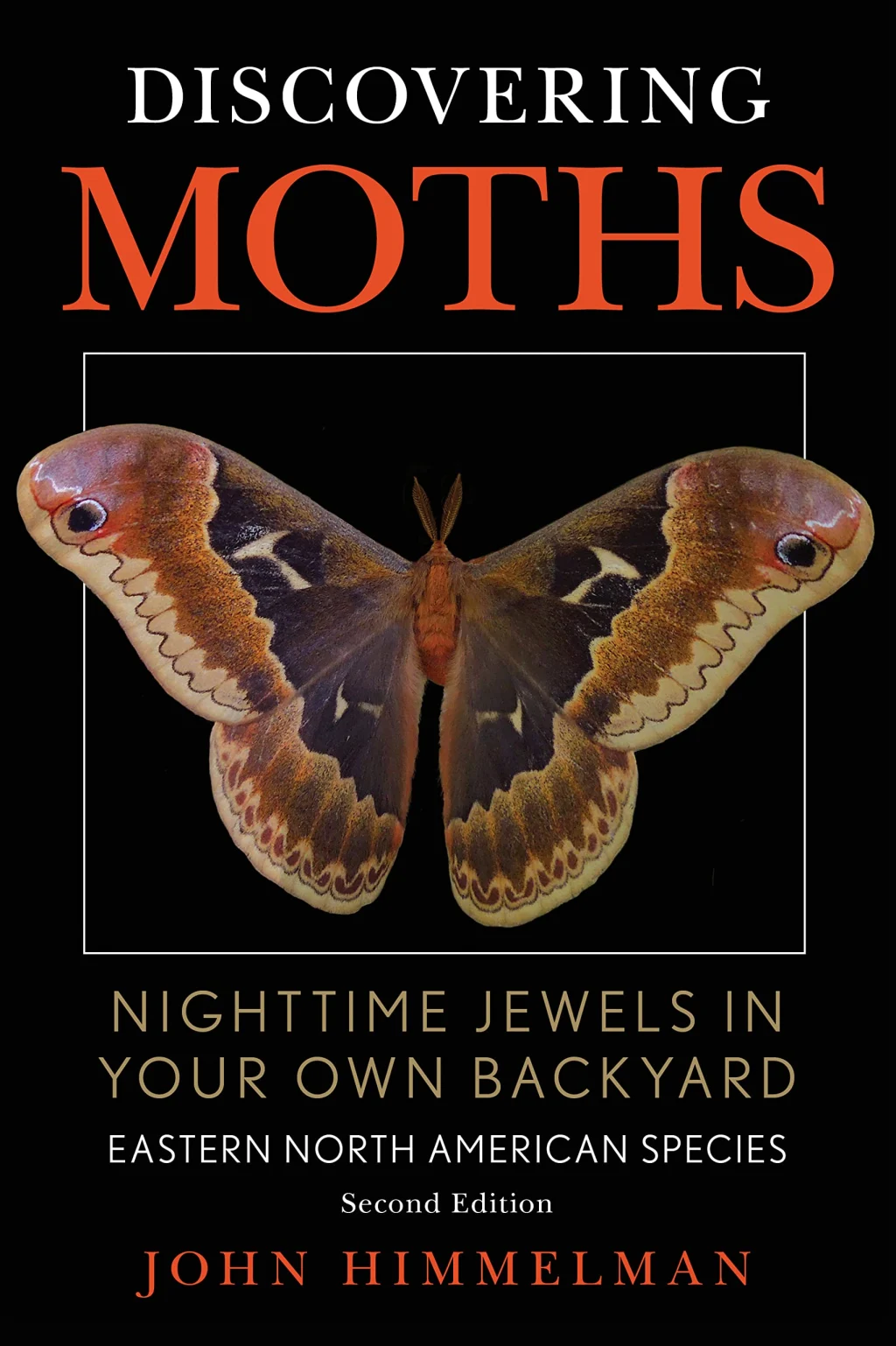 Mysteries Unveiled: Embarking on Nocturnal Adventures with “Discovering Moths: Nighttime Jewels in Your Own Backyard” by Jim Himmelman