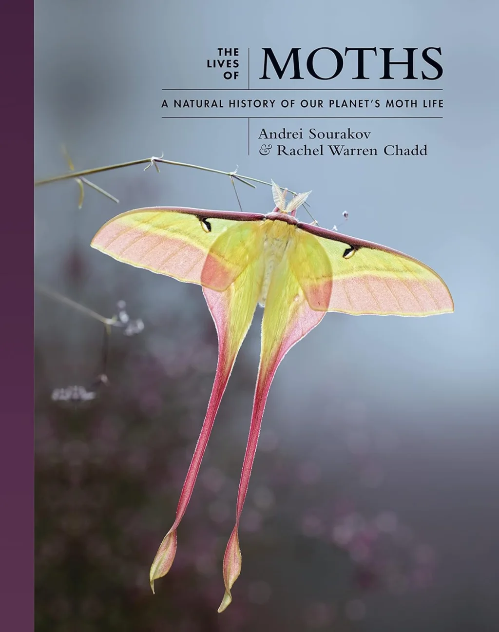 Mysteries of Moths: Illuminating the Night’s Hidden Beauty